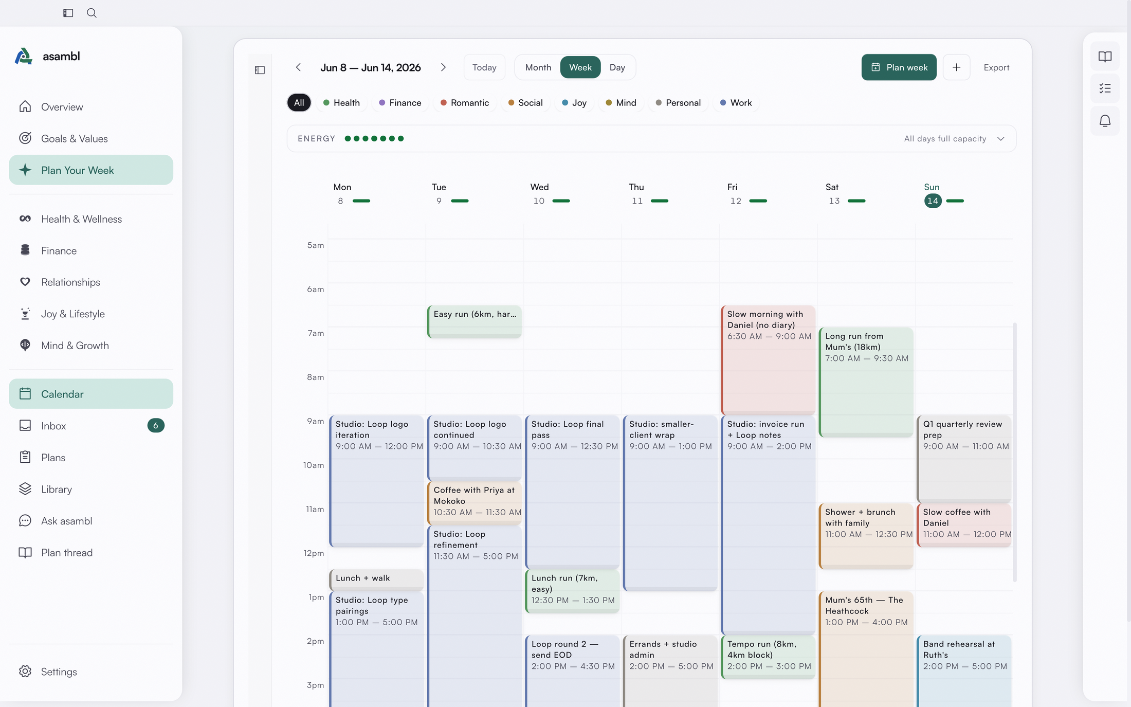 An accepted asambl plan as color-coded blocks in a week calendar